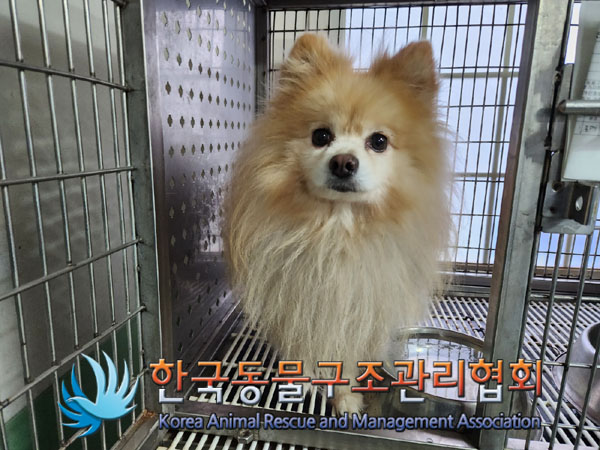 한국동물구조관리협회_411323202300951